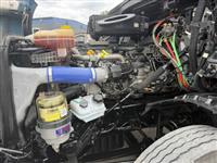 2021 Freightliner Cascadia 126