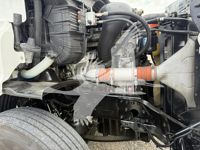 2019 Freightliner CASCADIA 113