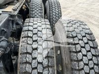 2019 Freightliner CASCADIA 113