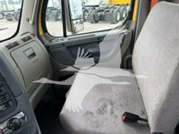 2019 Freightliner CASCADIA 113