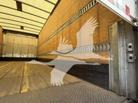 2021 International MV