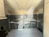 2019 Freightliner CASCADIA 113
