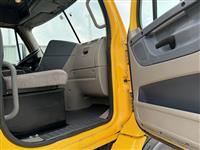 2019 Freightliner CASCADIA 113