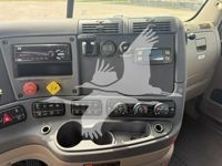 2019 Freightliner CASCADIA 113