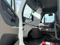 2019 Freightliner CASCADIA 113