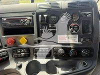 2019 Freightliner CASCADIA 113