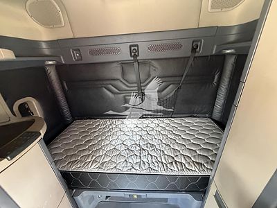 2018 Freightliner CASCADIA 113