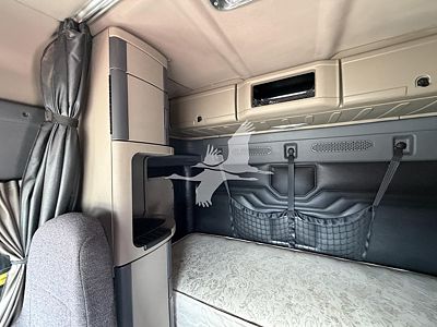 2015 Freightliner CASCADIA 113