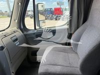 2019 Freightliner CASCADIA 113
