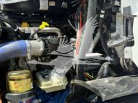 2019 Freightliner CASCADIA 113