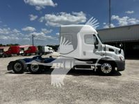 2019 Freightliner CASCADIA 113