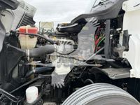 2019 Freightliner Cascadia 125 Evolution