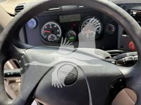 2019 Freightliner CASCADIA 113