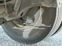 2021 DOONAN SPECIALIZED 5323BLLTTIKHR