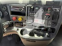 2019 Freightliner CASCADIA 113