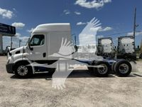 2019 Freightliner CASCADIA 113