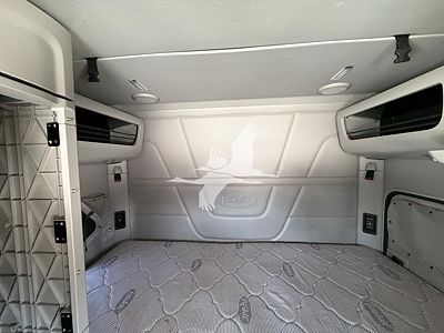 2021 Peterbilt 579