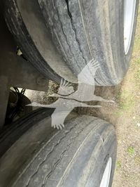 2013 Wabash ARCTIC LITE