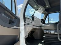 2019 Freightliner CASCADIA 113