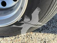 2021 DOONAN SPECIALIZED 5323BLLTTIKHR