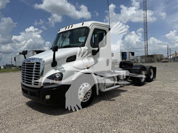 2019 Freightliner CASCADIA 113