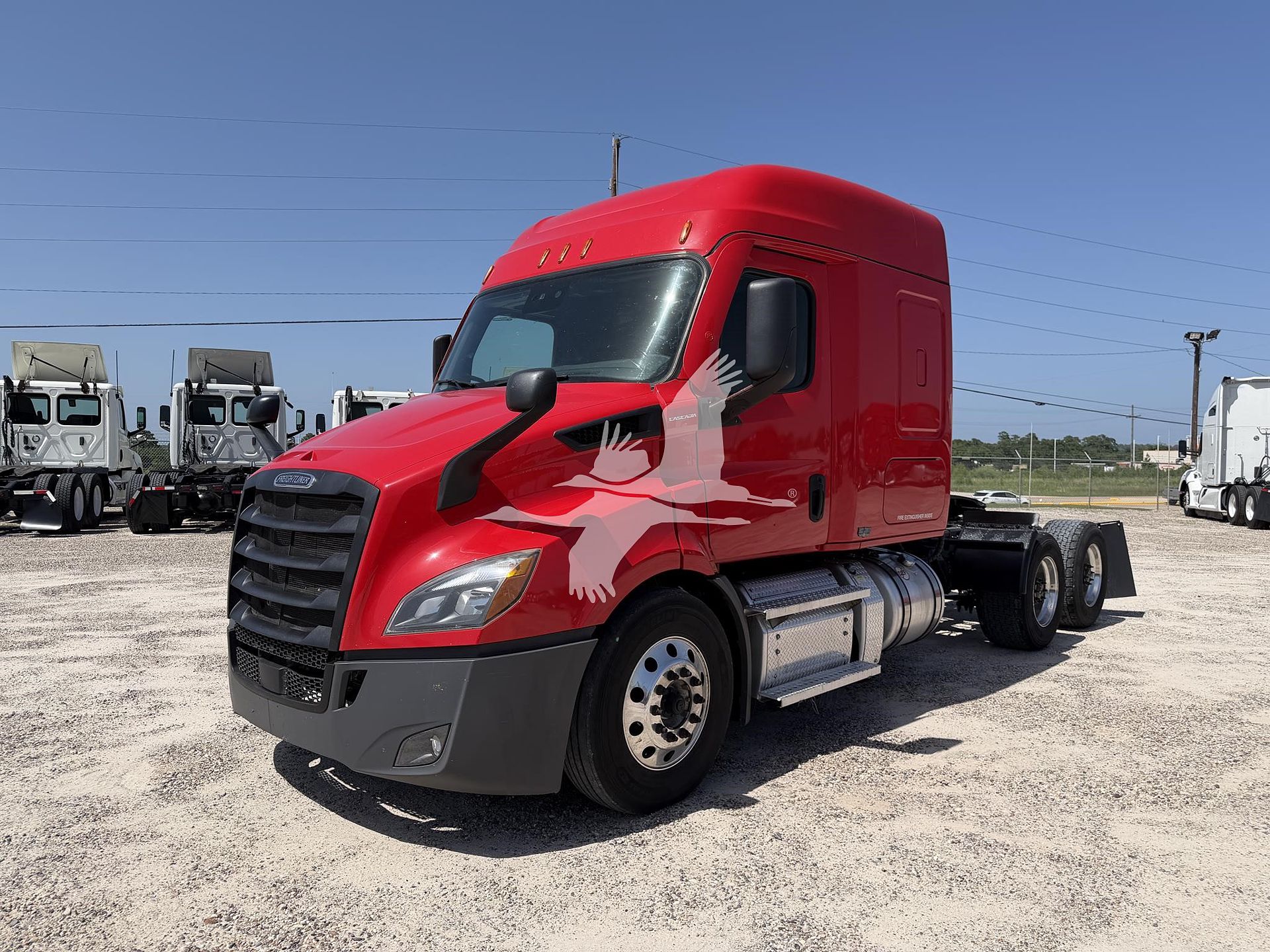 2021 Freightliner CASCADIA 116