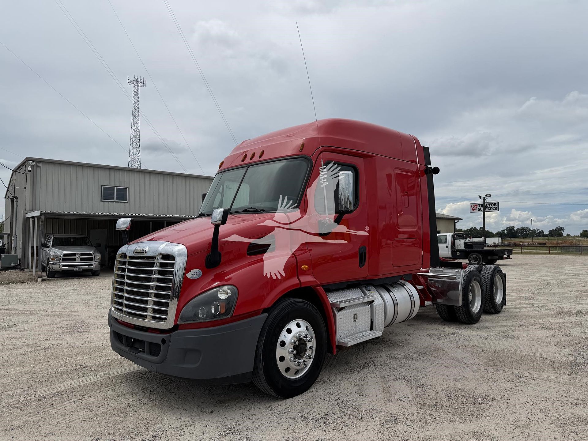 2015 Freightliner CASCADIA 113