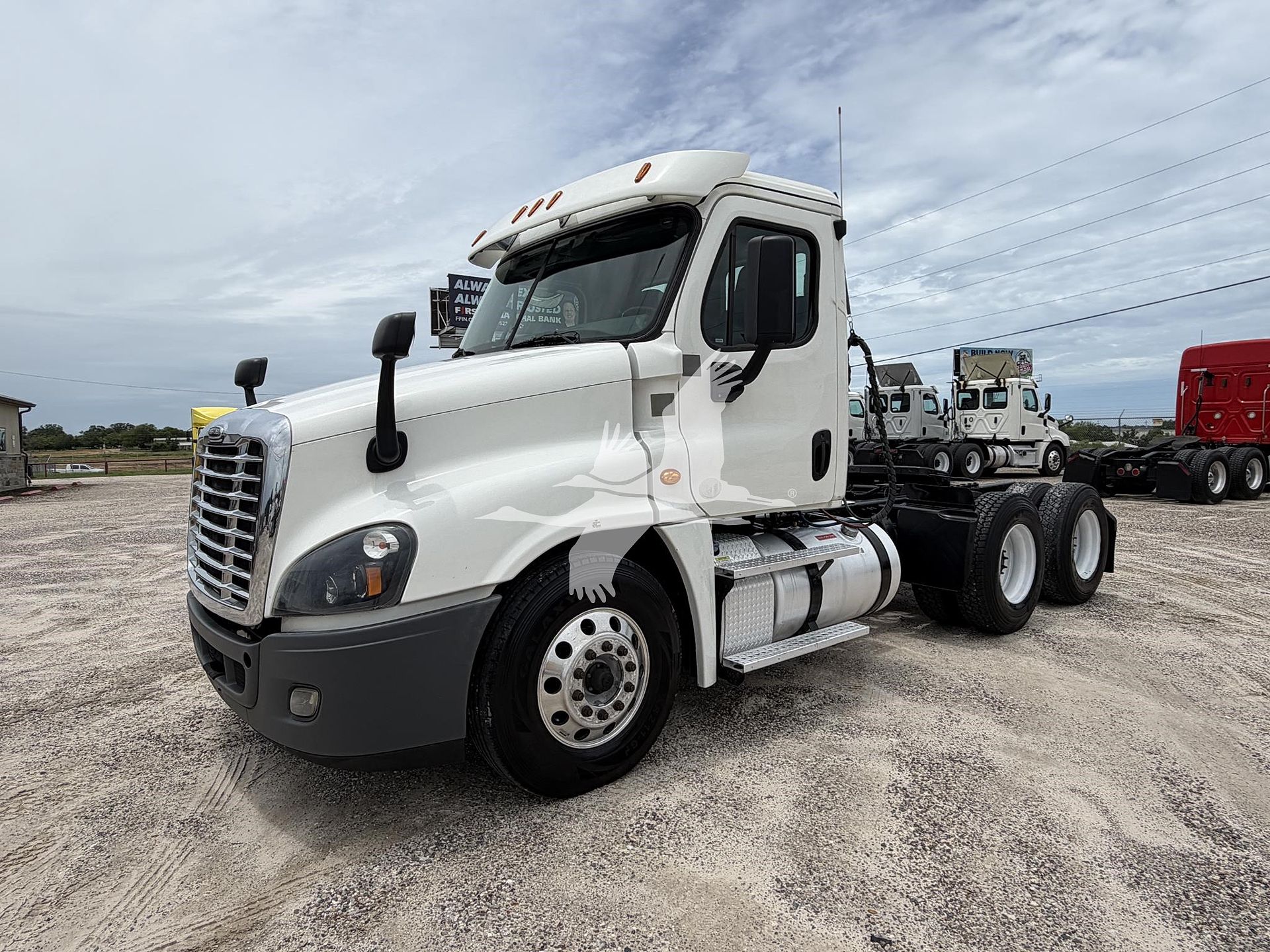 2019 Freightliner Cascadia 125
