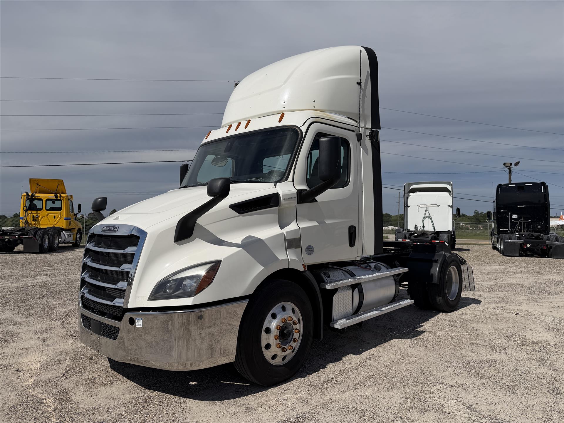 2019 Freightliner CASCADIA 116