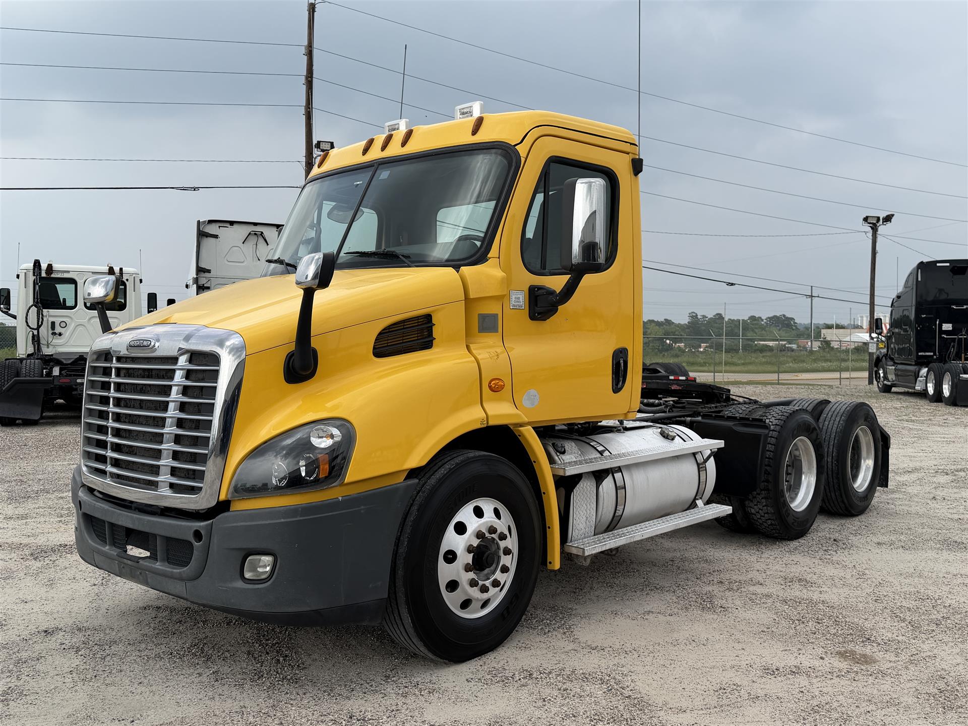 2019 Freightliner CASCADIA 113