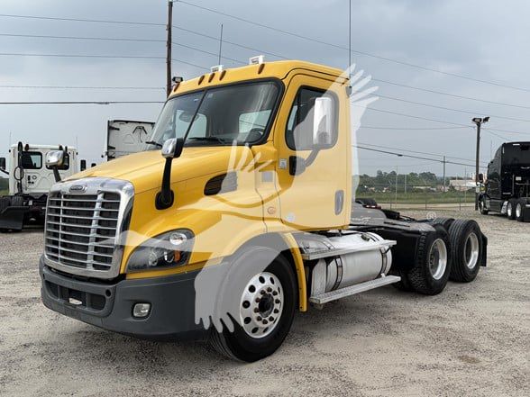 2019 Freightliner CASCADIA 113