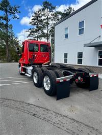 2019 Freightliner Cascadia 113