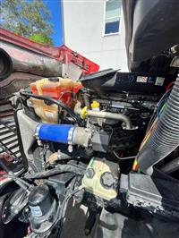 2019 Freightliner Cascadia 113
