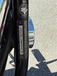 1998 Harley Davidson  Softtail Custom 