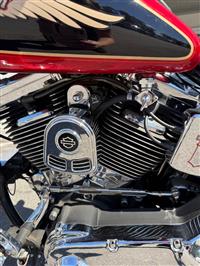 1998 Harley Davidson  Softtail Custom 