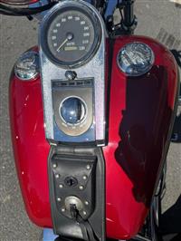 1998 Harley Davidson  Softtail Custom 