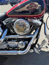 1998 Harley Davidson  Softtail Custom 