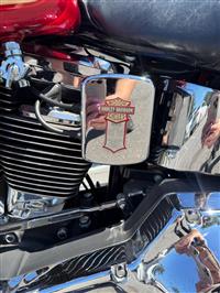 1998 Harley Davidson  Softtail Custom 