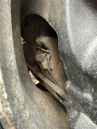 2023 Freightliner PT126064ST