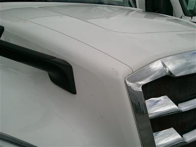 2021 Freightliner PT126SLP