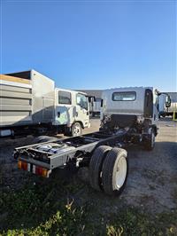 2026 Isuzu NPR-1F204