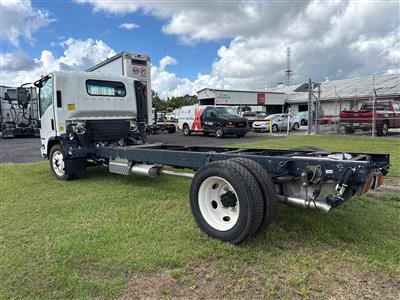 2024 Isuzu NPR-1F404